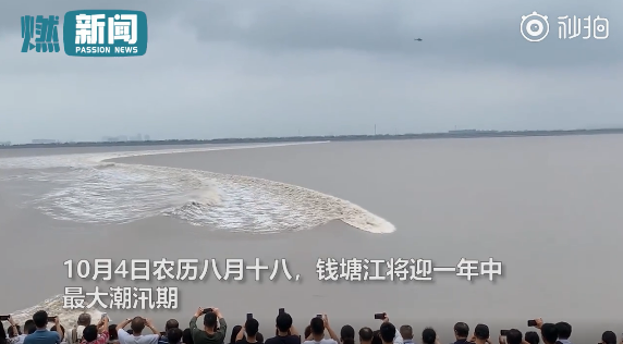 实拍钱塘江大潮撞坝瞬间,浪潮汹涌注意安全,网友热议