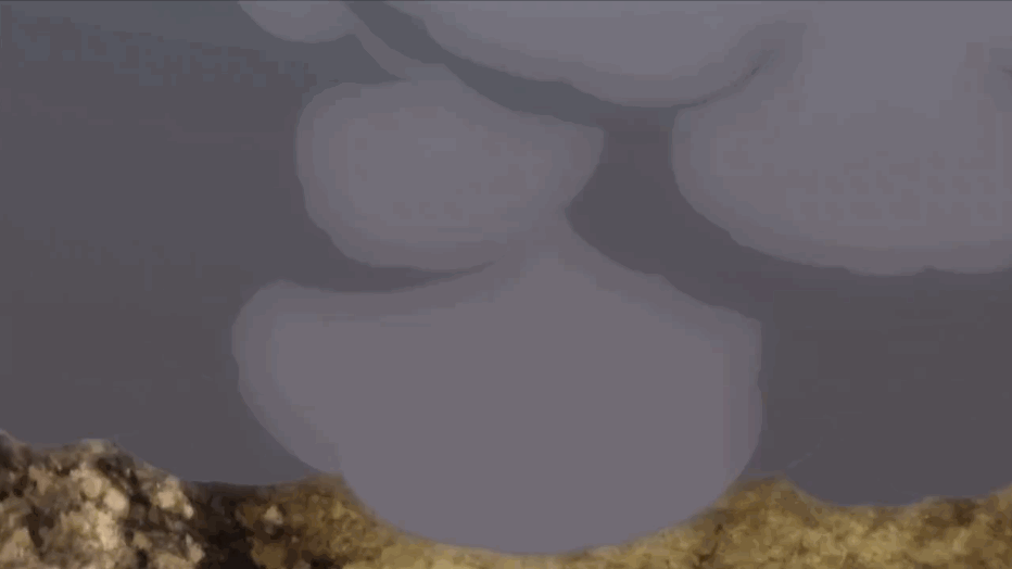 【流量预警】【宝可梦动画战力学】喷火龙战力排行(主