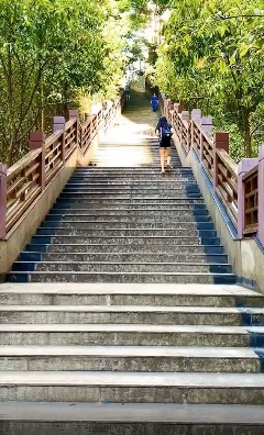 重庆人都不胖的原因找到了:是个适合运动的城市,网友热议:在重庆读书太真实了,(最新发布)