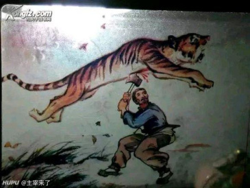 老虎咬人后续,手没了