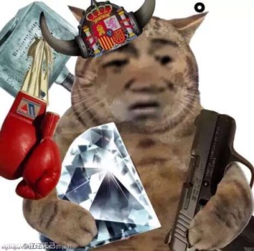 求那个通缉犯猫的表情包