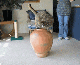 - 步行街主干道 - 虎扑社区