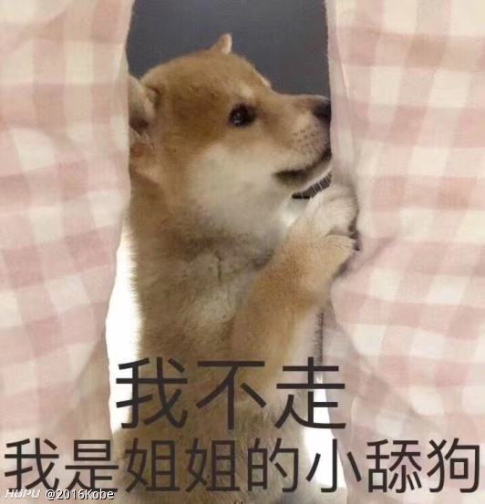 求一堆舔狗的图片!