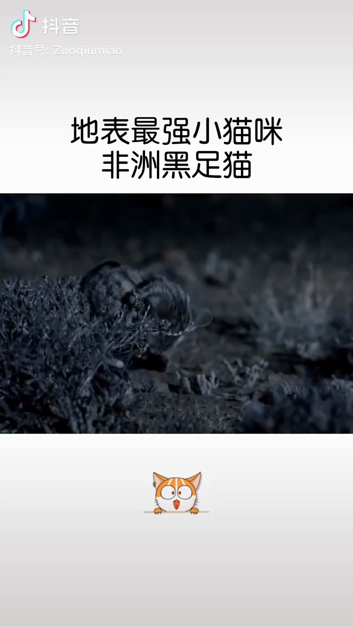 video-poster