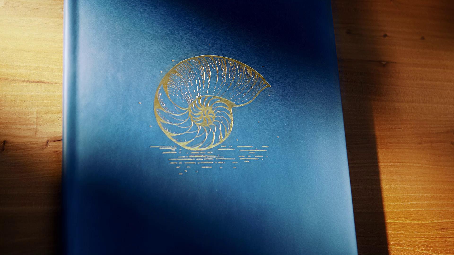 video-poster