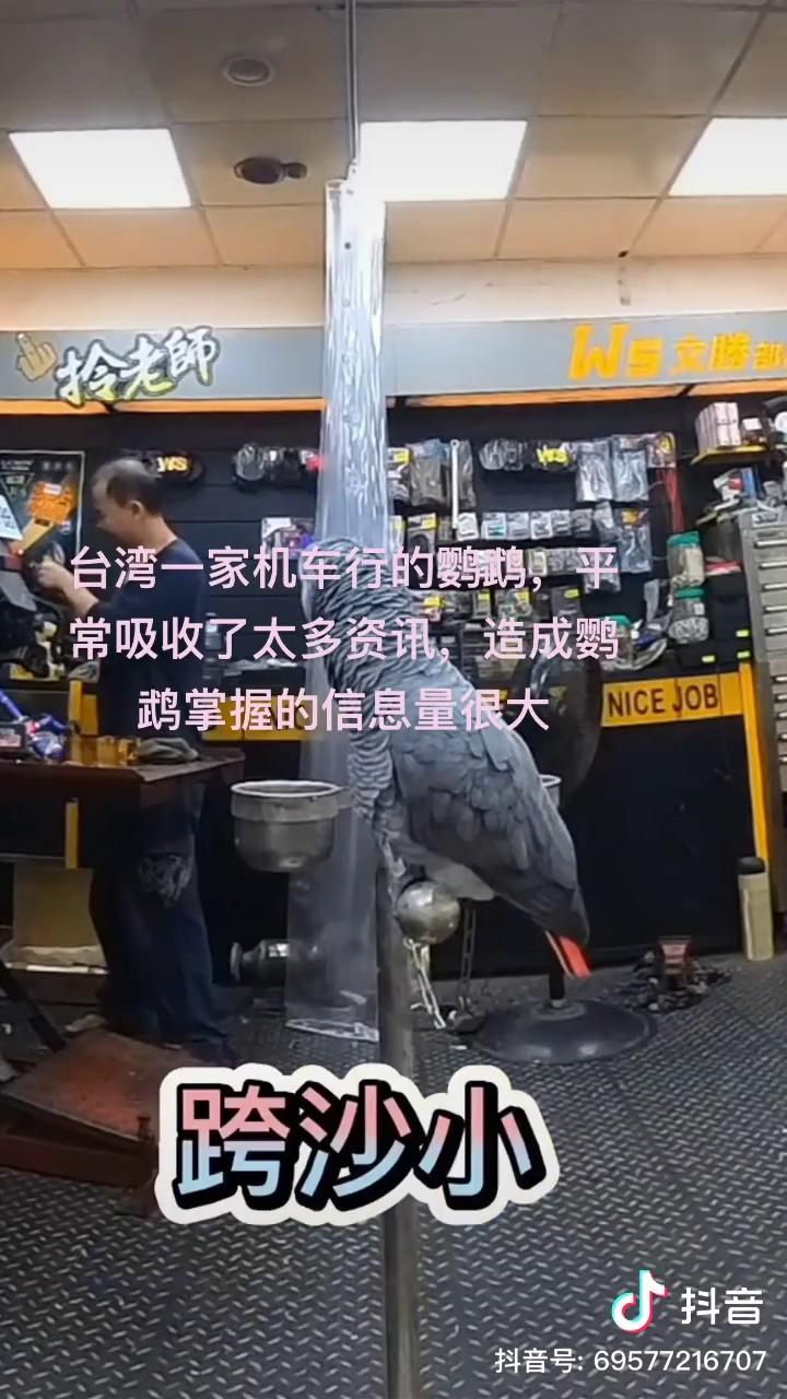 video-poster