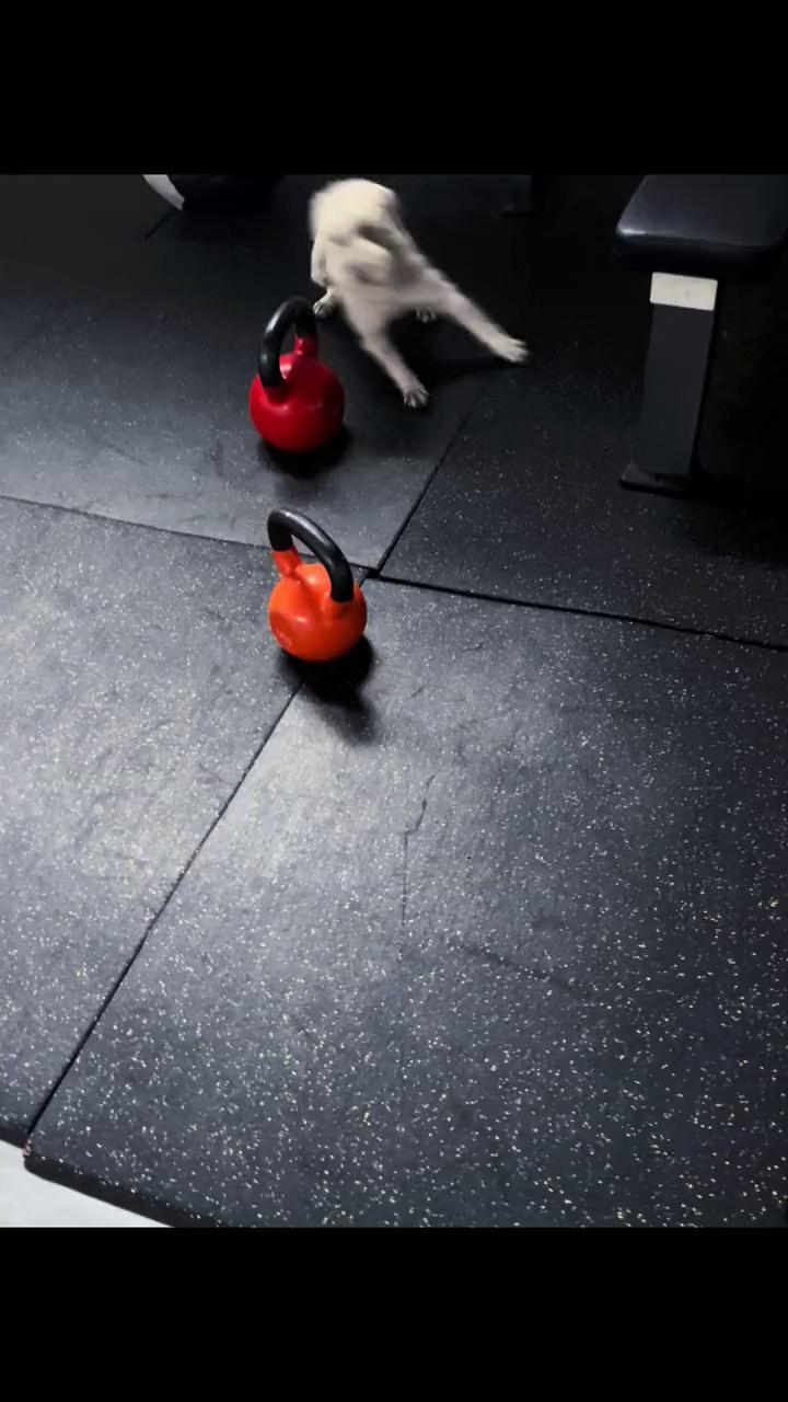 video-poster