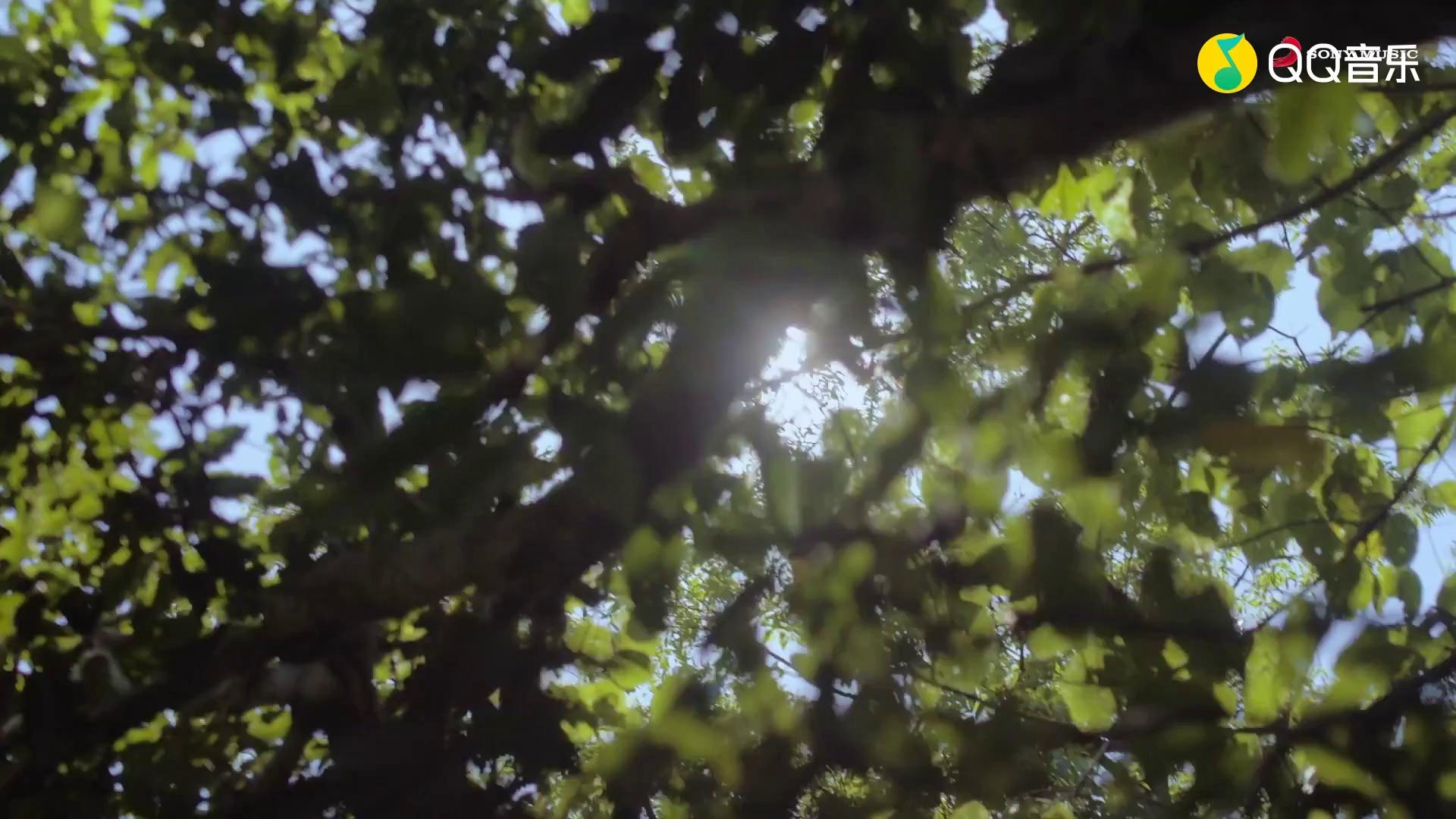video-poster
