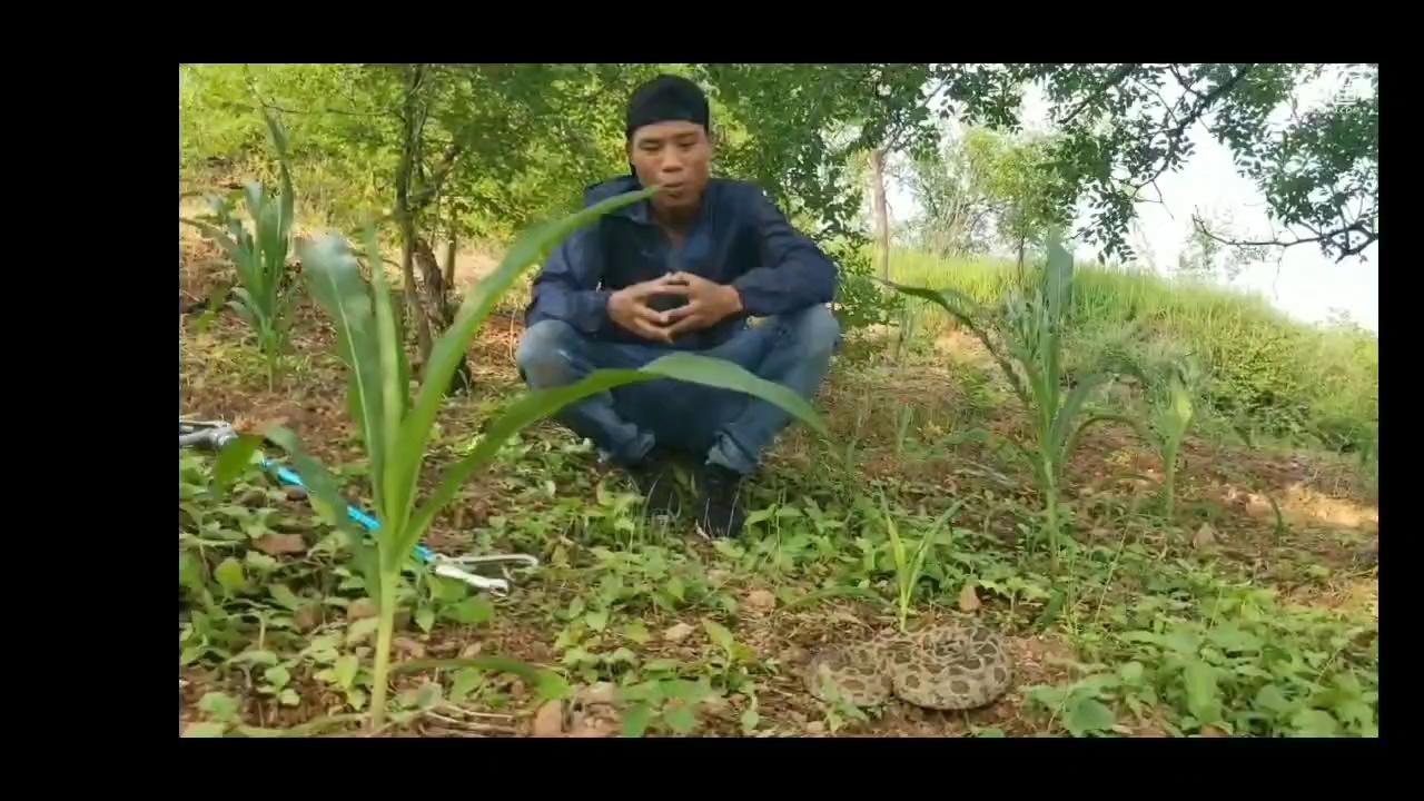 video-poster