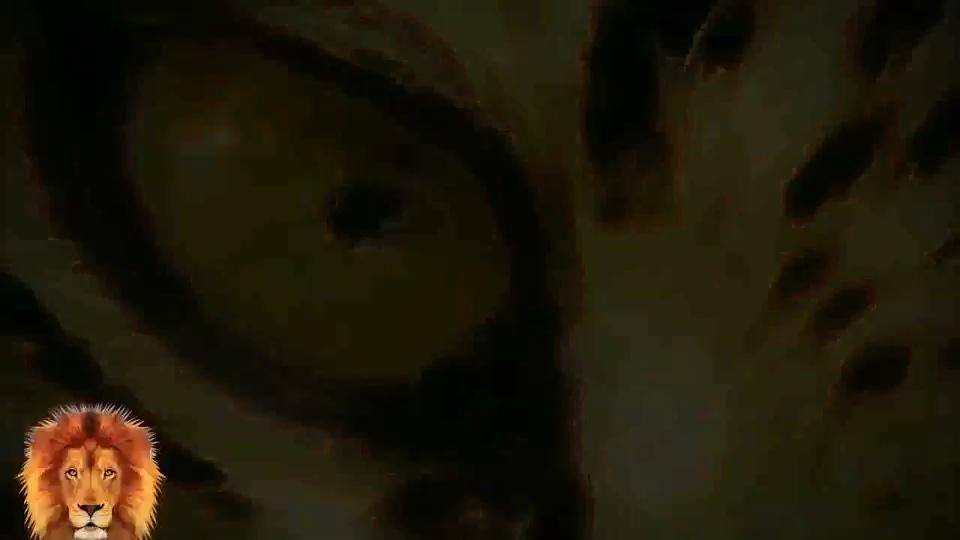 video-poster