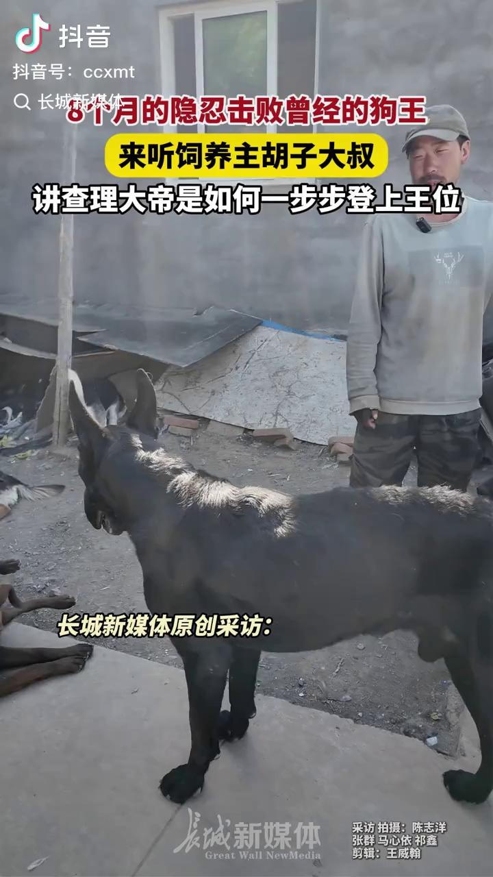 video-poster