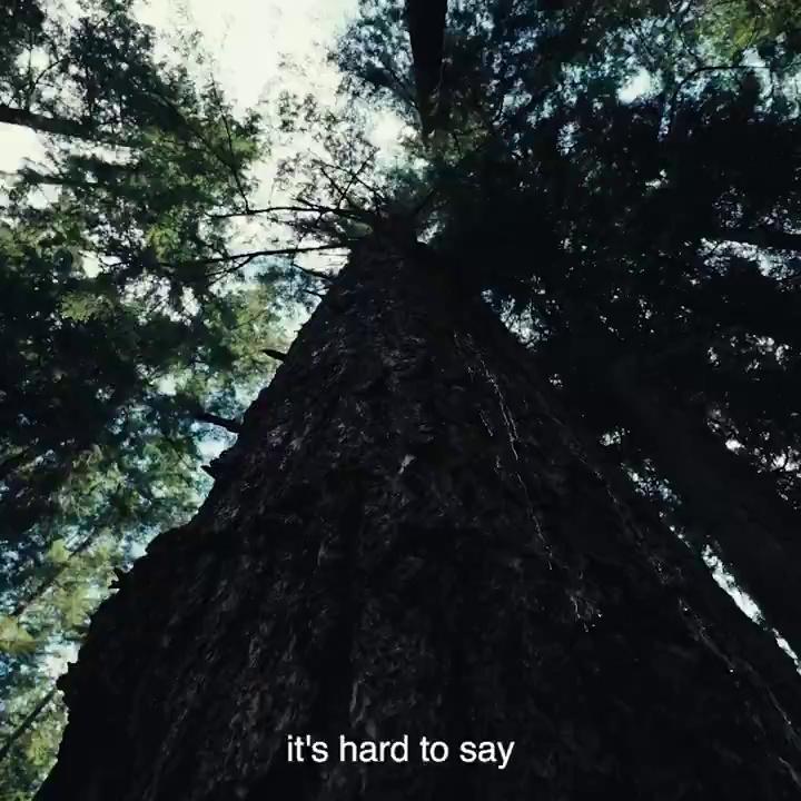 video-poster