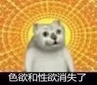 最近很火的mur猫表情包 给jrs整了个合集 步行街主干道 虎扑社区