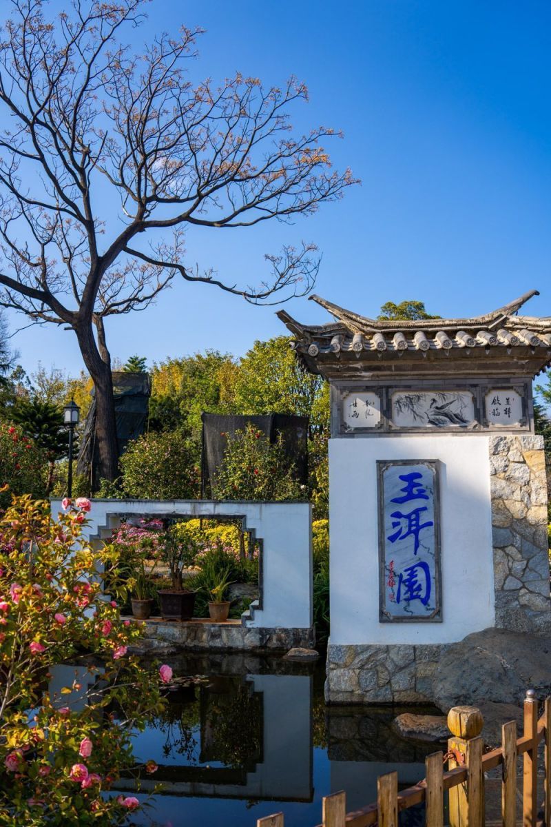 大理古城玉洱路玉洱园