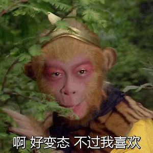 求那个孙悟空说烦死了的动图