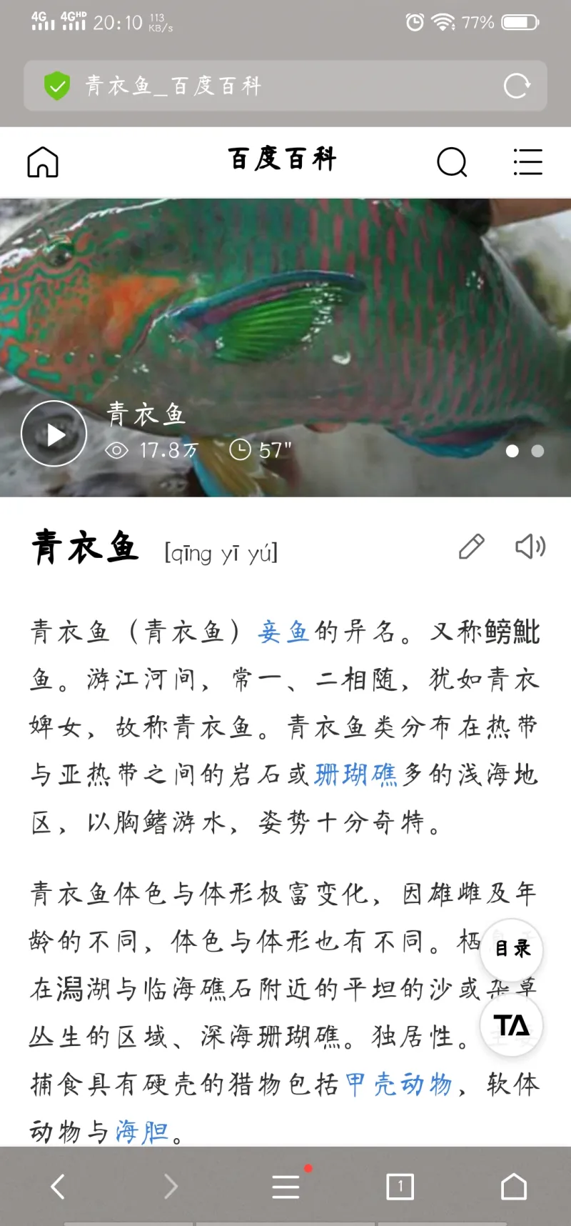 这是全村吃饭鱼吗 第3页 步行街主干道 虎扑社区 这是全村吃饭鱼吗 第3页 步行街主干道 虎扑社区