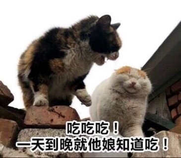 敢问蛇扑,这是全村吃饭蛇吗?