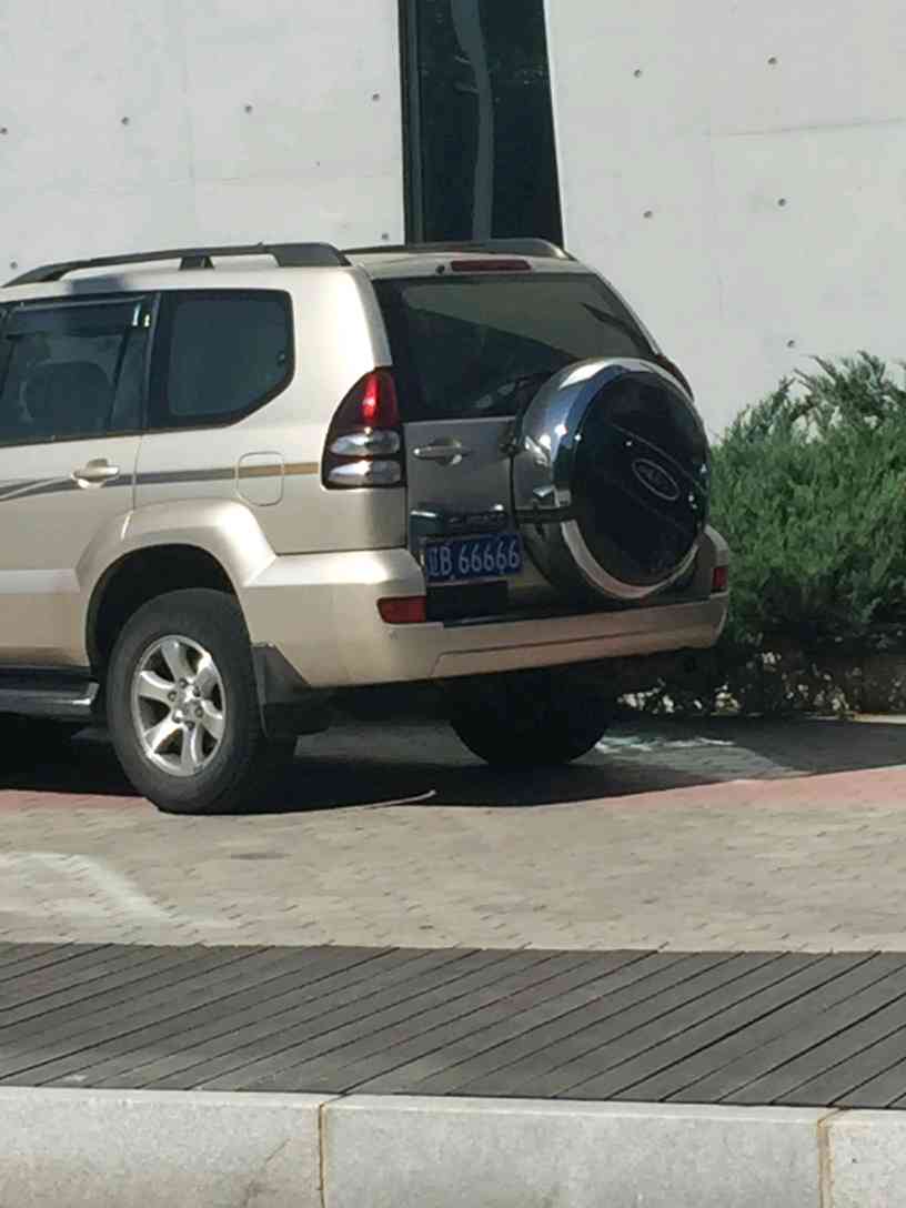 苏e66666苏州一市民选到神车牌zt