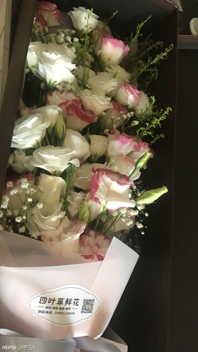 今天收到一束花,到现在还不知道是谁送的