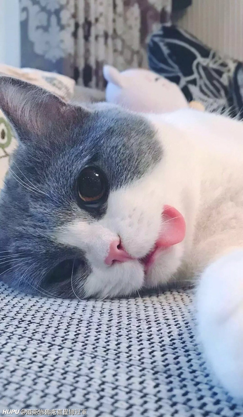 社区 影视区之前传闻钟伟是钟素娟的弟弟?