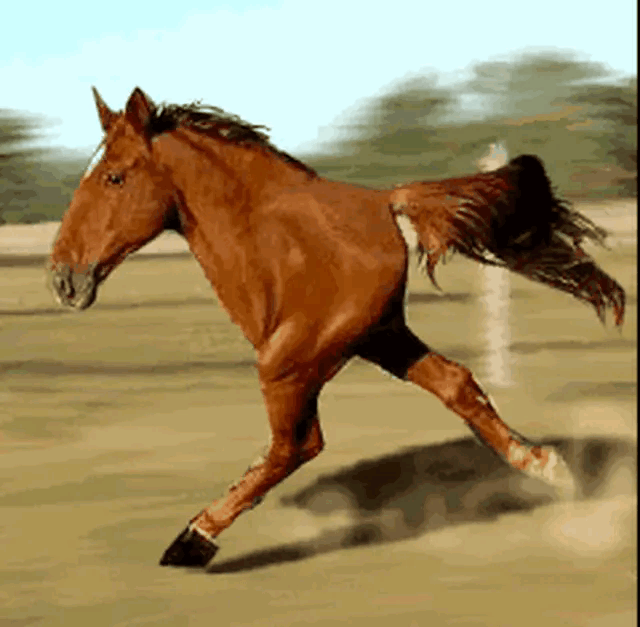 640_627gif 动态图 动图