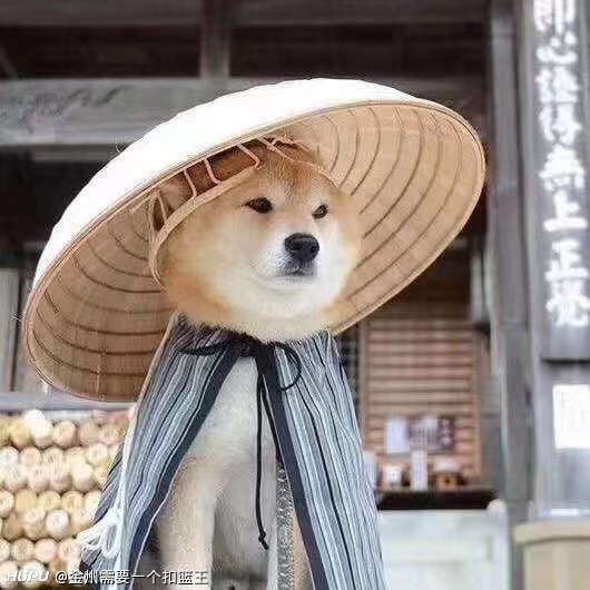 求助各位家人,华为秋招笔试应该怎么准备