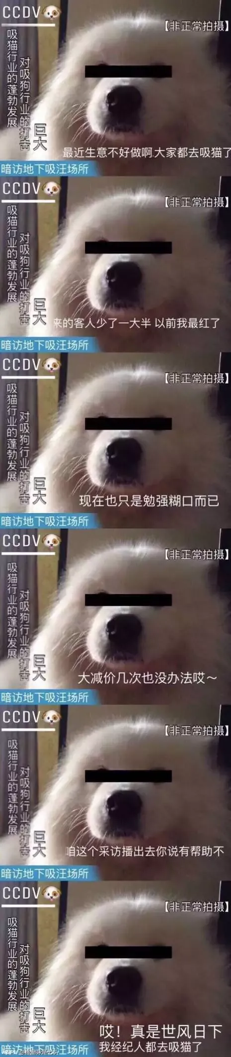 老哥们 求这张壁纸原图 篮球场 浮力上头像吧 手机壁纸区 虎扑社区