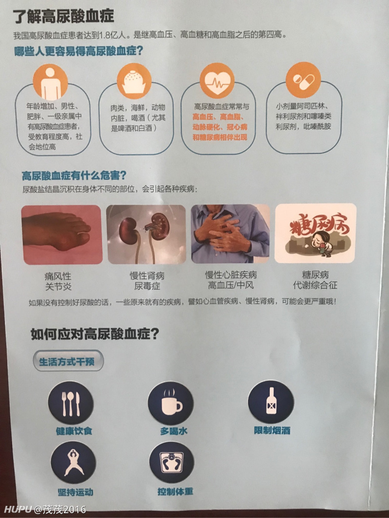 终于轮到我了,尿酸高的jr进,降尿酸干货分享