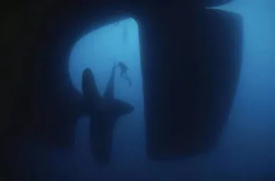 比起深海恐惧症 其实我更严重的是 Submechanophobia 水下人工物恐惧症 步行街主干道 虎扑社区