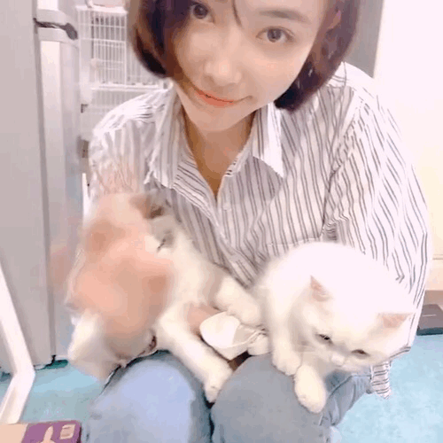 许佳琪最新动图出炉 原视频太长 Gif超过30m上传不了 步行街主干道 虎扑社区