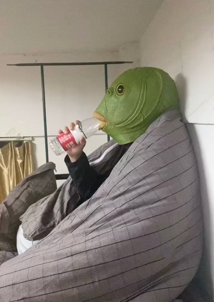 这个绿头鱼头套什么水平