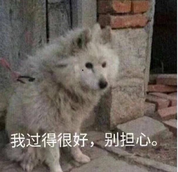 有人玩海龟汤这个游戏吗?最近玩感觉有、意思