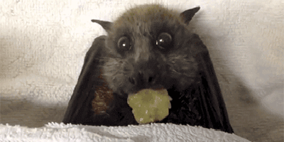 400_200gif 动态图 动图