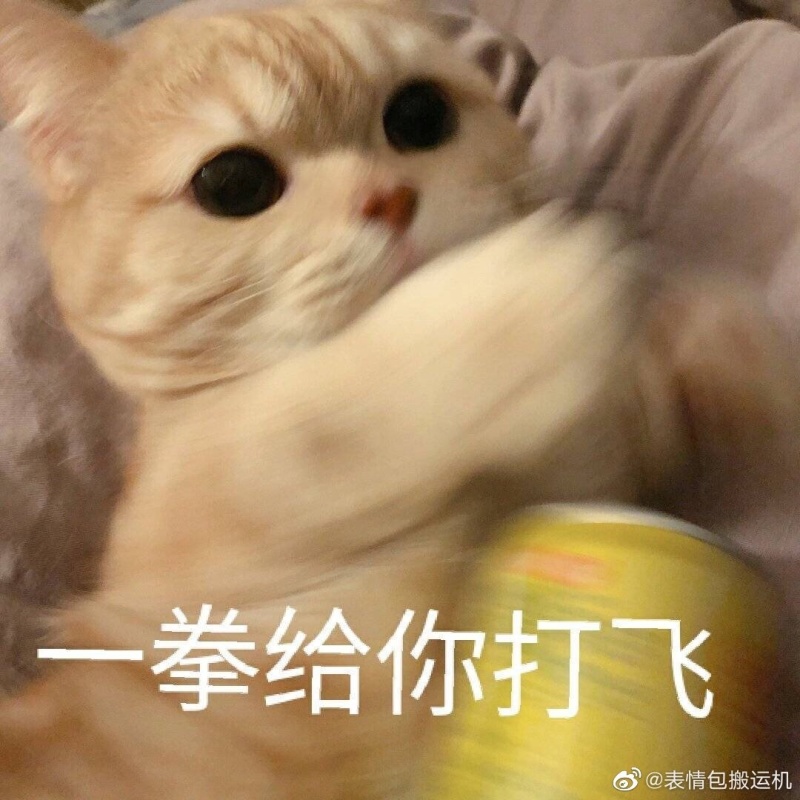 打卡10天 Day1可爱猫咪表情包分享 虎扑