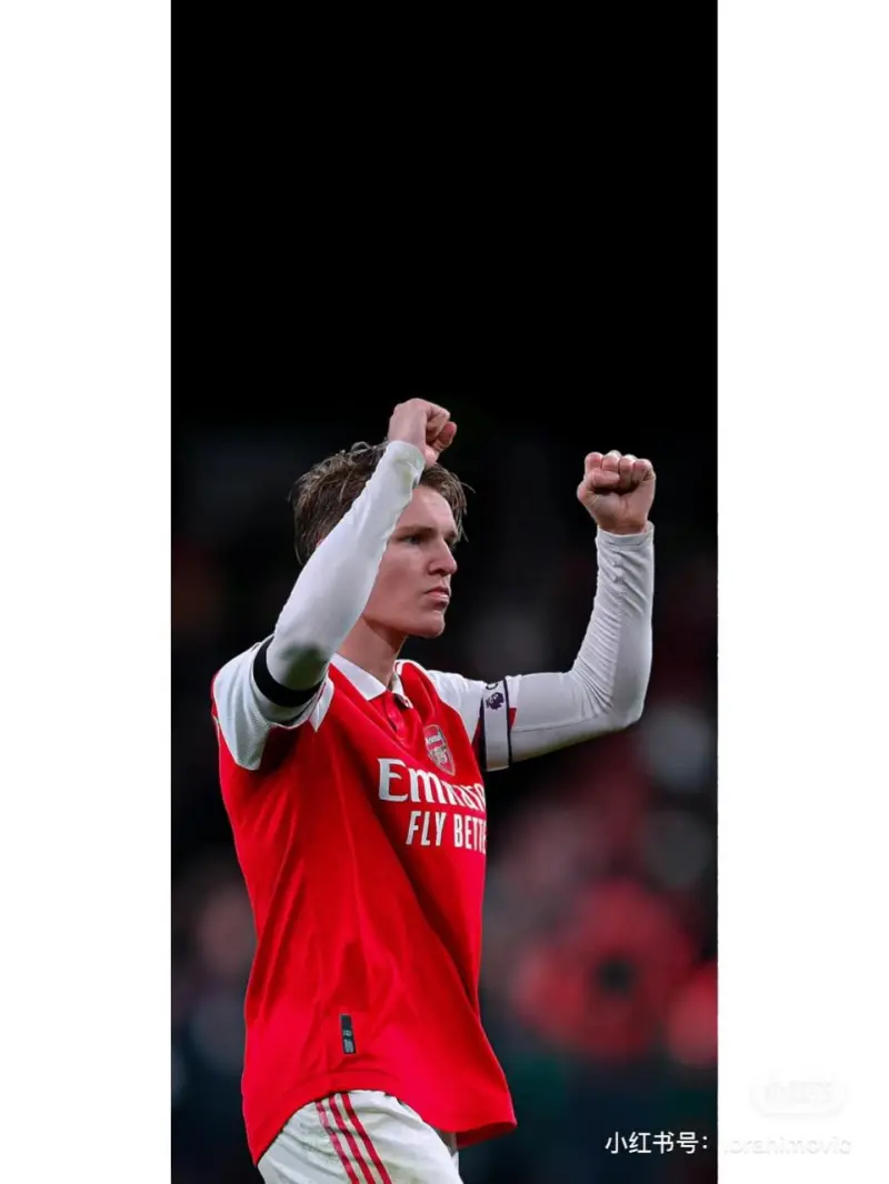 想要厄德高的帅照