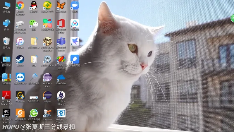 10天打卡 Day6 桌面壁纸 Wallpaper Engine 数码区 虎扑社区