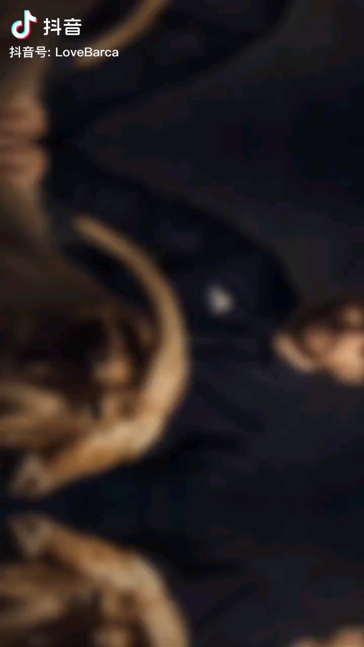 video-poster