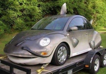 这么大的鲶鱼见过么? zt