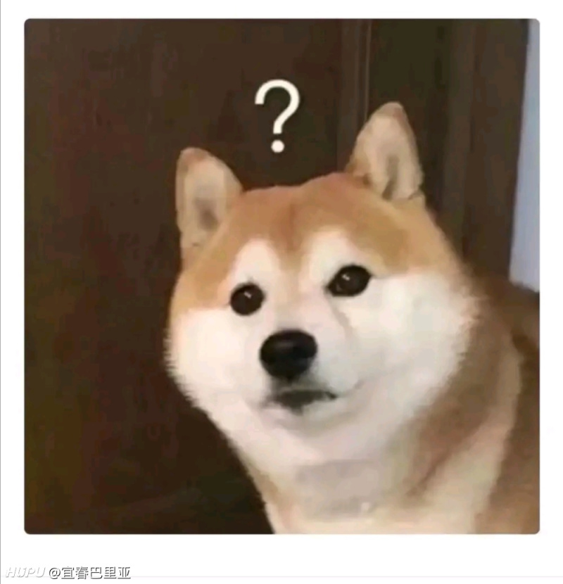 不懂就问 狗见了警犬 会把它当警察吗 虎扑