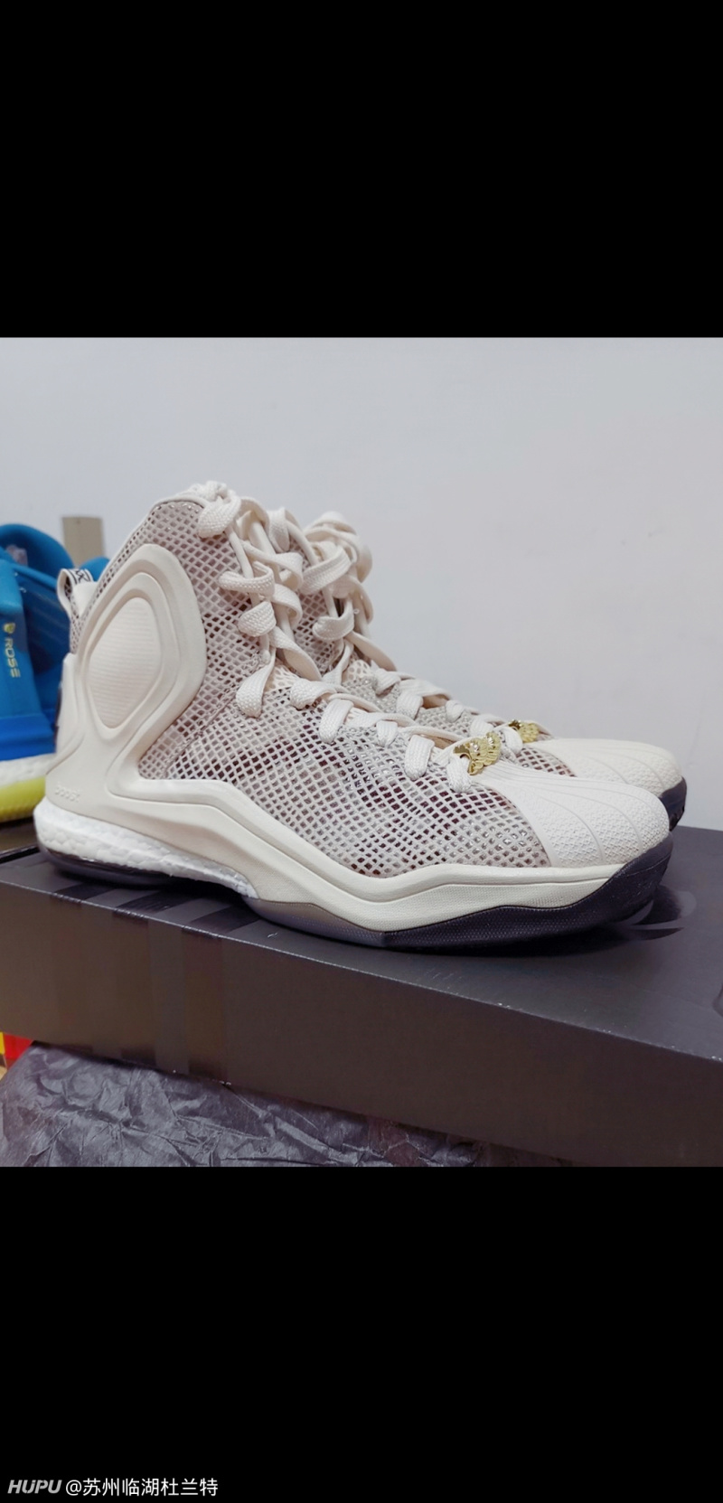 超级大白菜,罗斯5贝壳头,上脚真帅