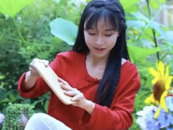 从万人追捧到如今感到厌恶，李子柒滤镜的背后，为何形象一再崩塌
