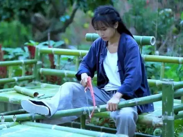 从万人追捧到如今感到厌恶，李子柒滤镜的背后，为何形象一再崩塌