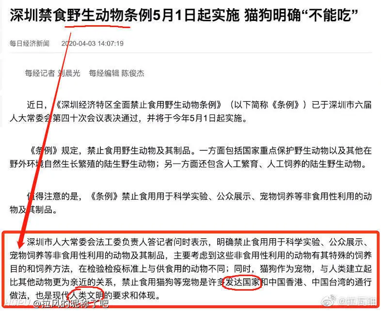 支持禁吃狗肉本身就是一种伪善 步行街主干道 虎扑社区