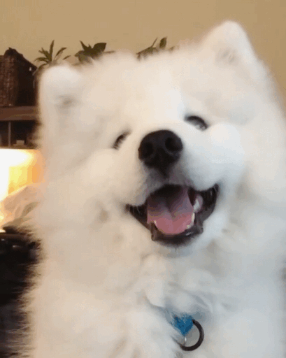 409_512竖版 竖屏gif 动态图 动图