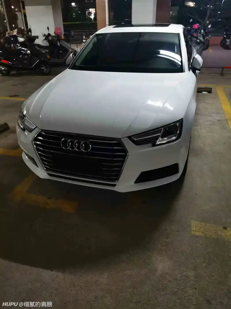 成功入坑推头王奥迪车友群在哪