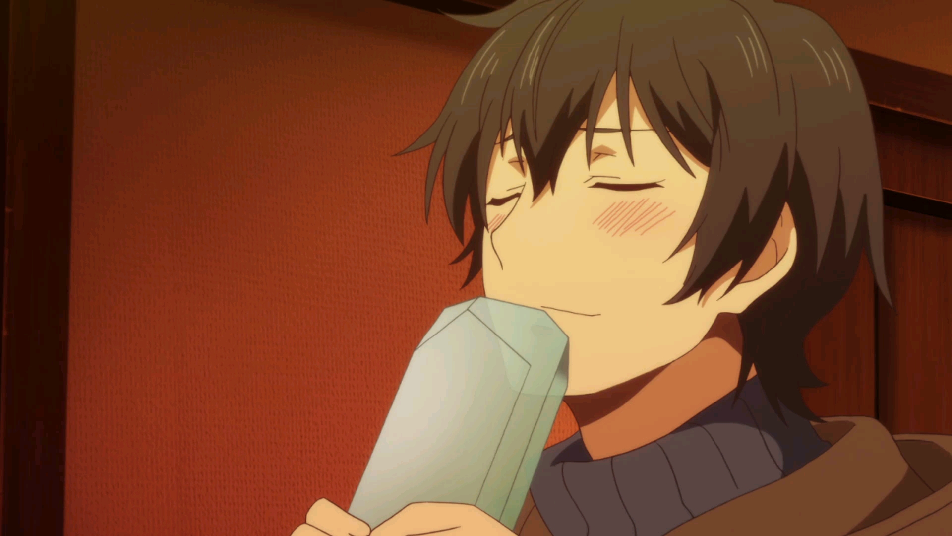 家有女友edわがまま十二集