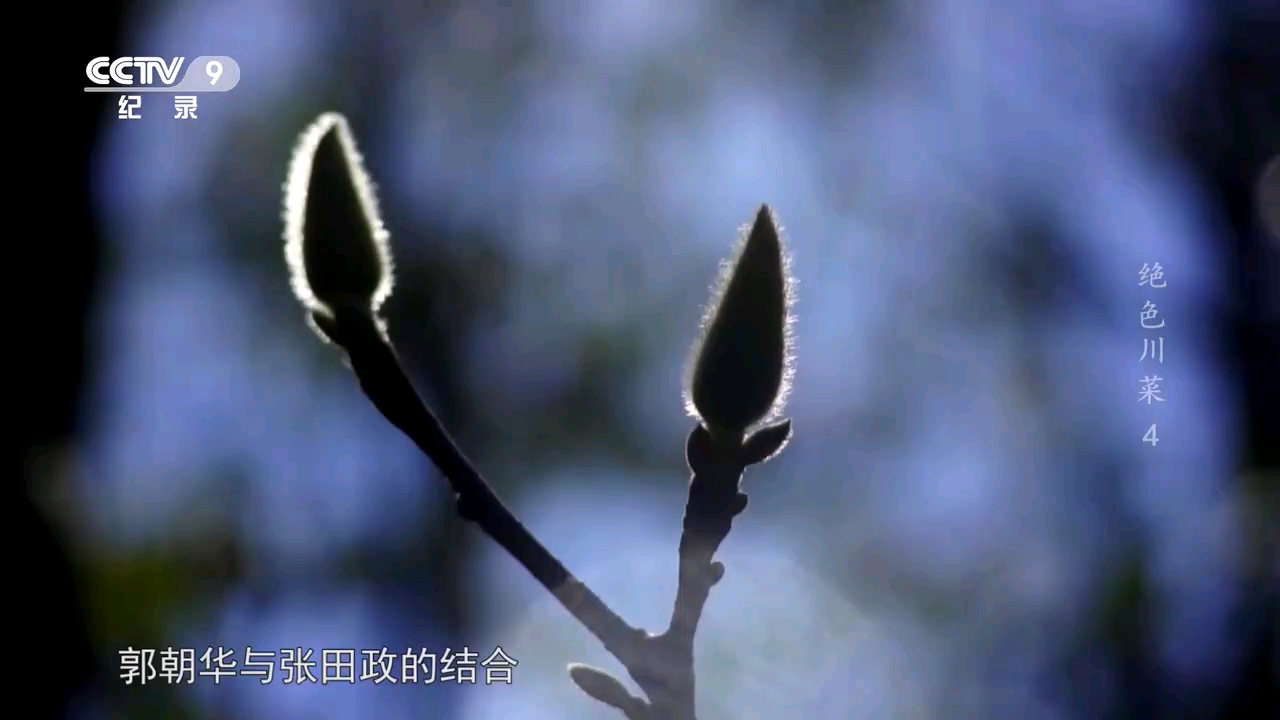 video-poster