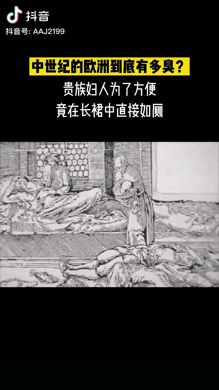 中世纪的欧洲有多臭贵族妇女直接在长裙中如厕