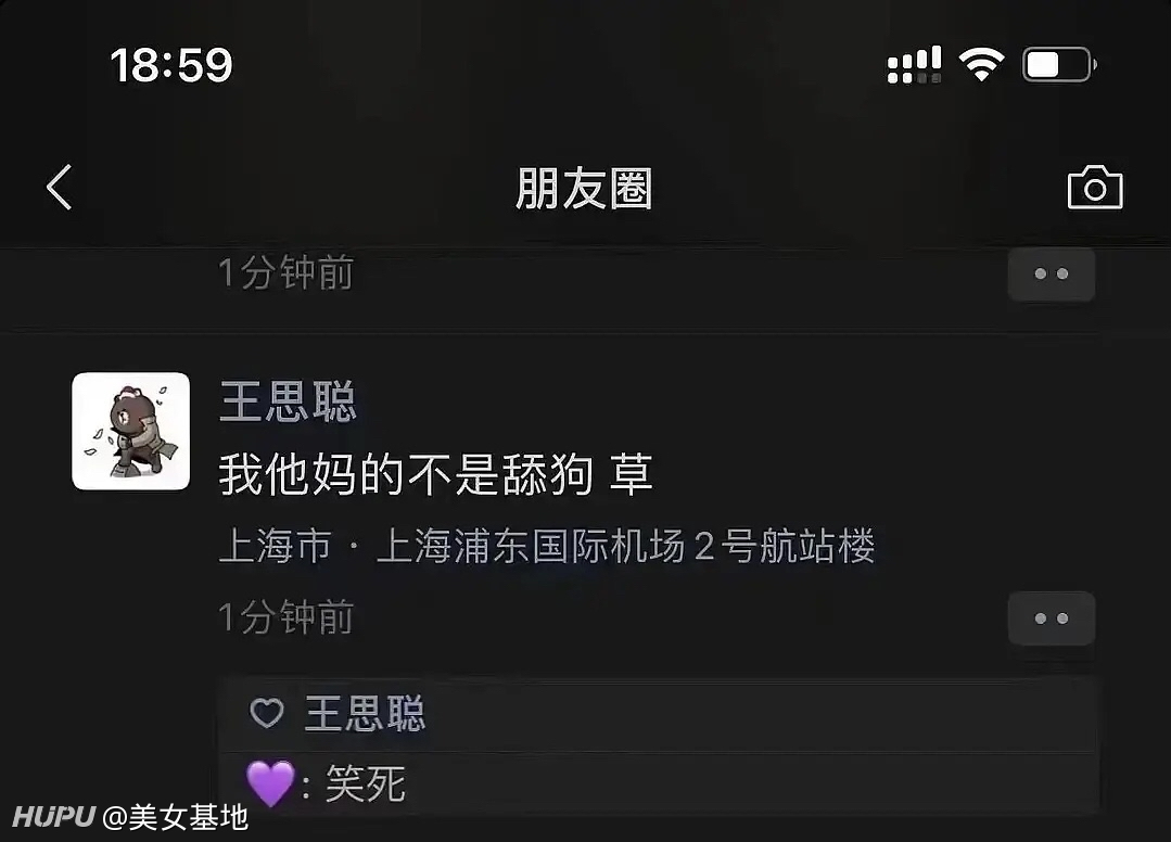 王思聪我不是舔狗