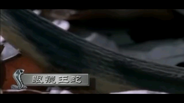 video-poster
